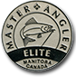 Platinum Medal